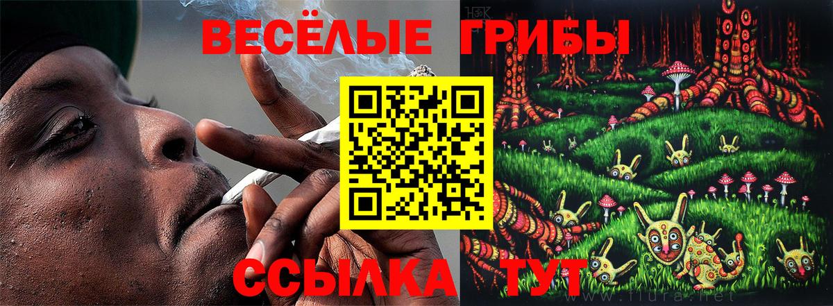 Пыть-Ях  Псилоцибиновые грибы прущие грибы  Вход с VPN  Псилоцибиновые грибы Cubensis 